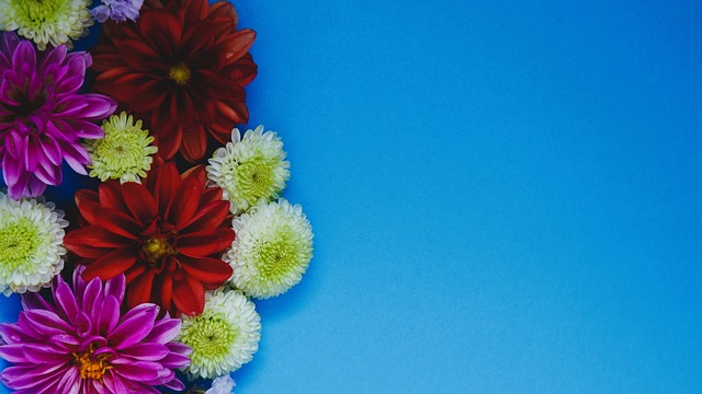 中锋位置的 中锋位置的